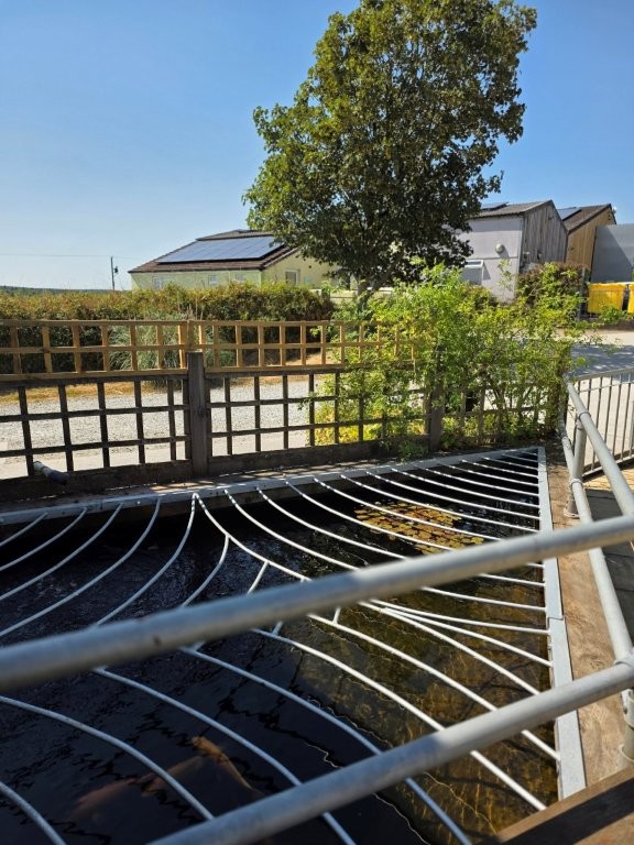 Solar-powered garden and fish pond at West Heanton